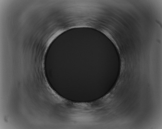 X0000103131197200809121725