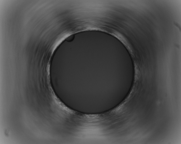 X0000103131198200809121725