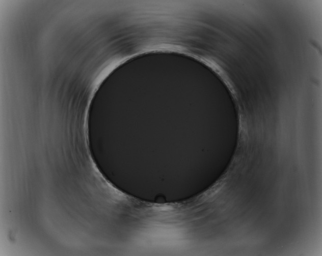 X0000103131199200809121725