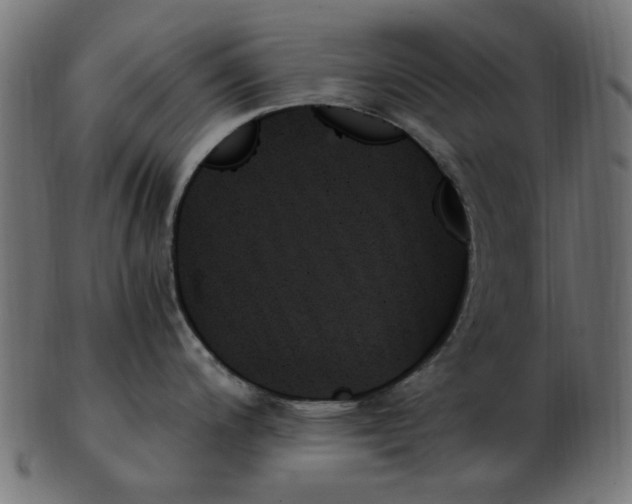 X0000103131200200809121725