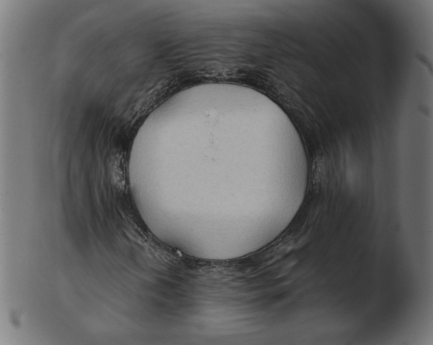 X0000103131202200809121724