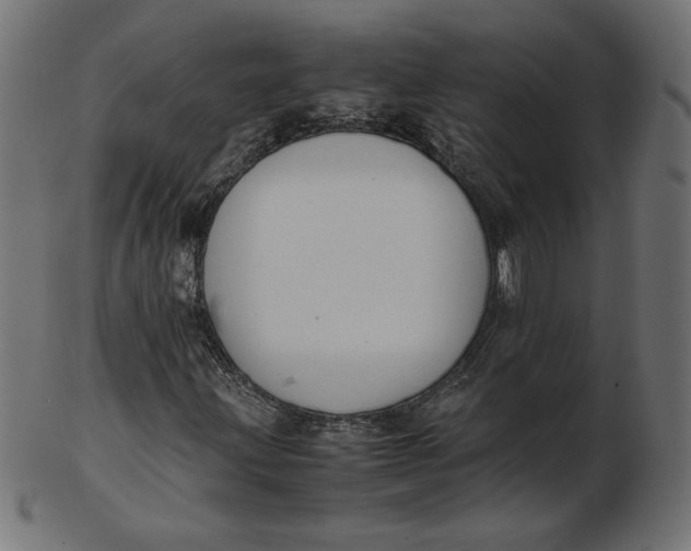 X0000103131203200809121724