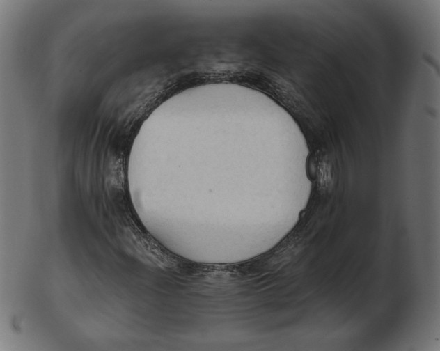 X0000103131204200809121724