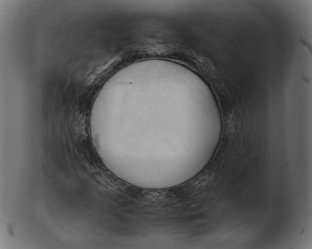 X0000103131205200809121724