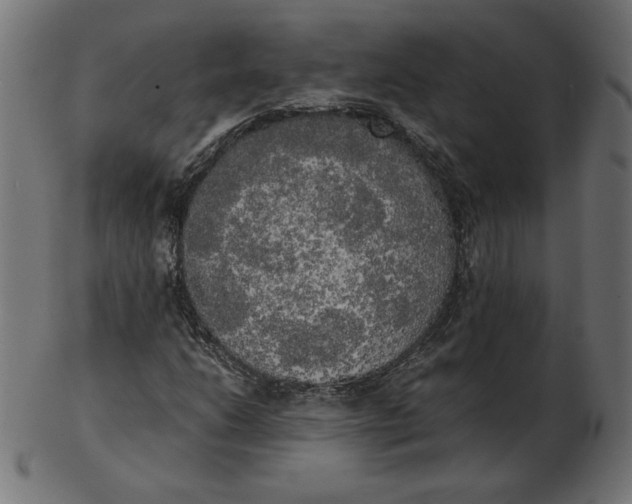 X0000103131206200809121724