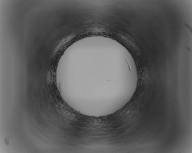 X0000103131207200809121724