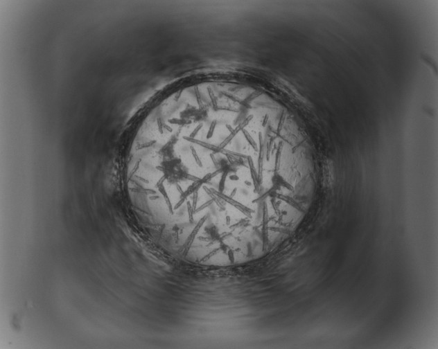X0000103131208200809121724
