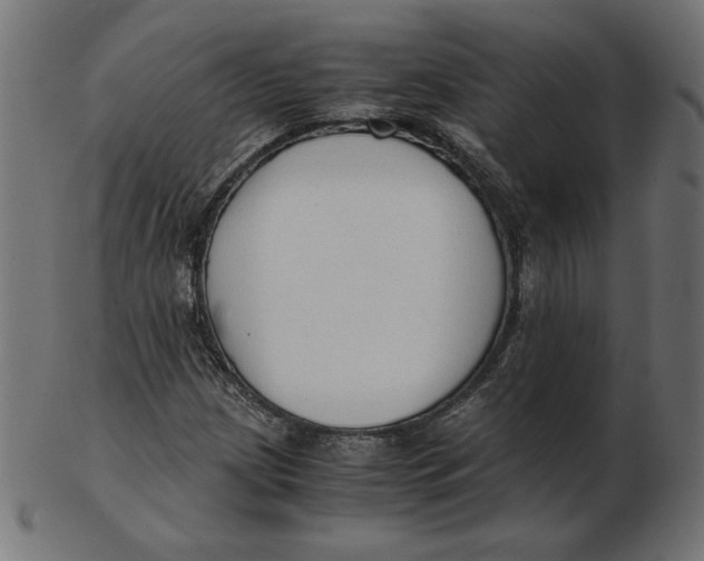 X0000103131209200809121724