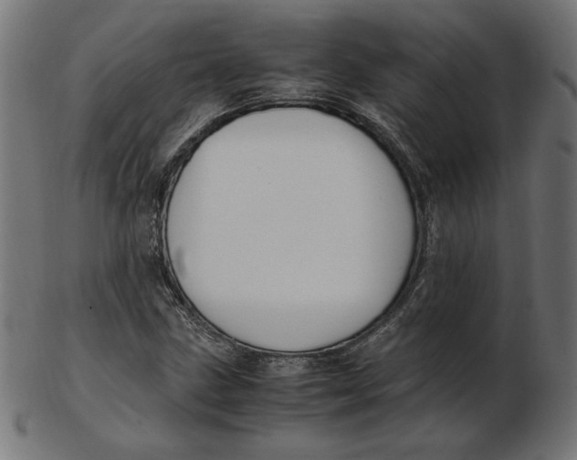 X0000103131211200809121724