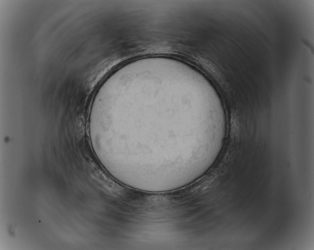 X0000103131212200809121724