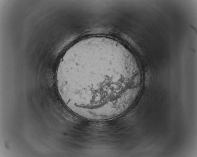 X0000103131213200809121724