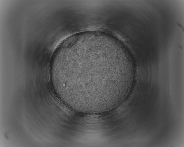 X0000103131214200809121724