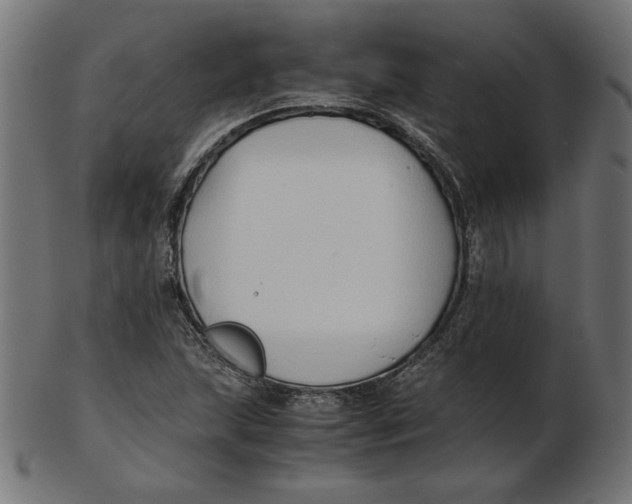 X0000103131215200809121724