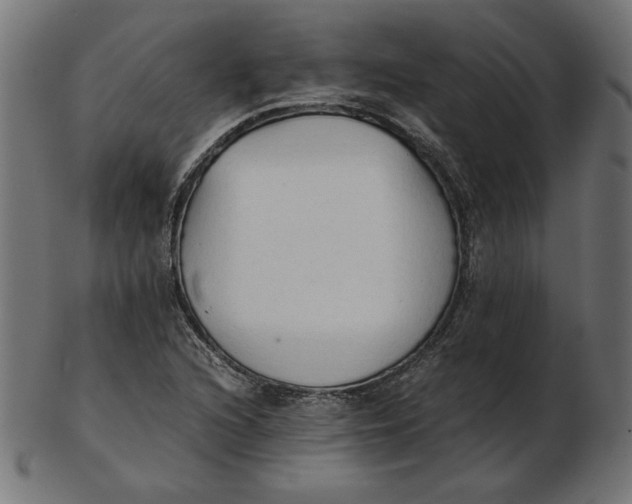 X0000103131216200809121724