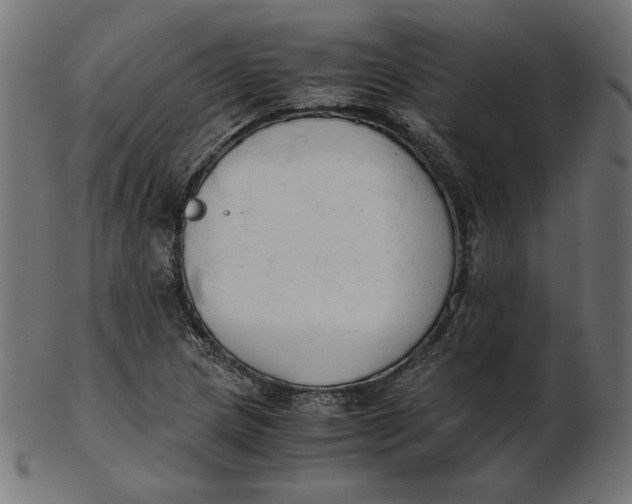 X0000103131217200809121724