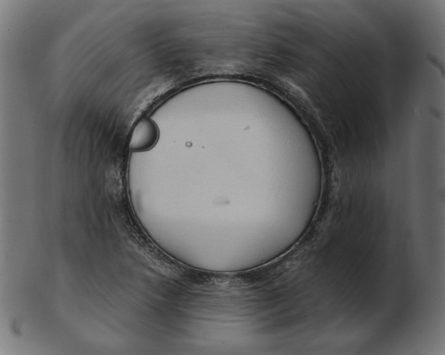 X0000103131218200809121724