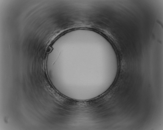 X0000103131220200809121724