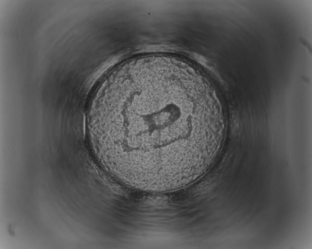 X0000103131221200809121724