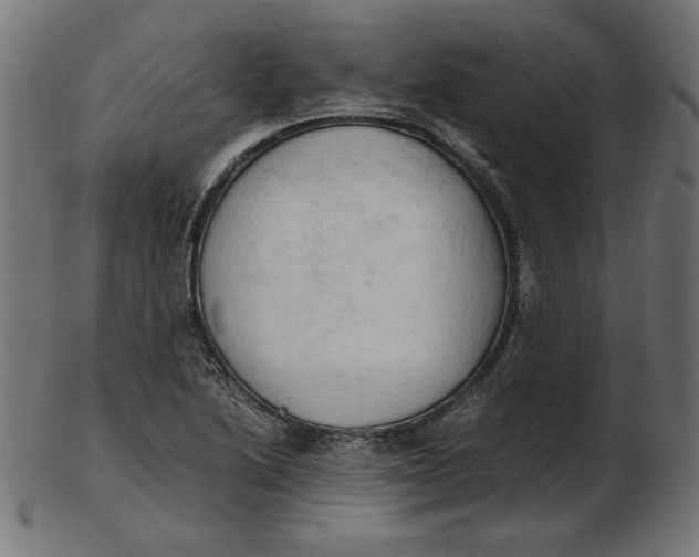 X0000103131222200809121724
