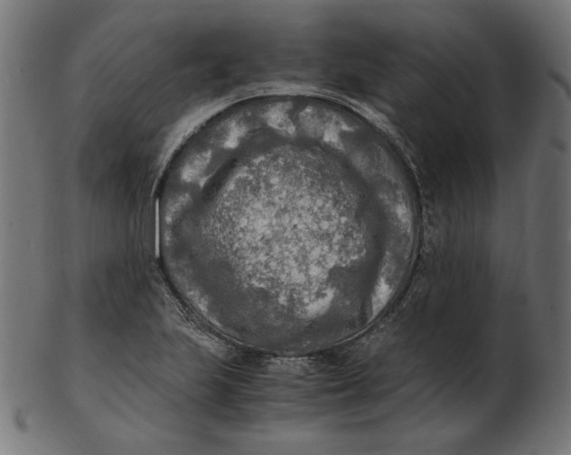X0000103131223200809121724