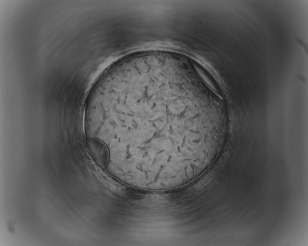 X0000103131224200809121724