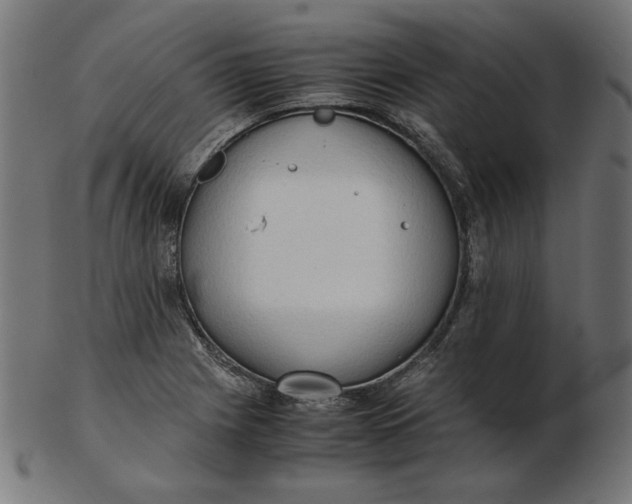 X0000103131225200809121724
