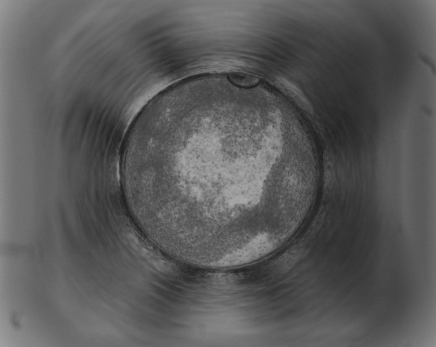 X0000103131226200809121724