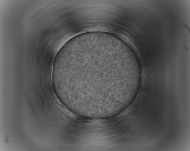 X0000103131228200809121724