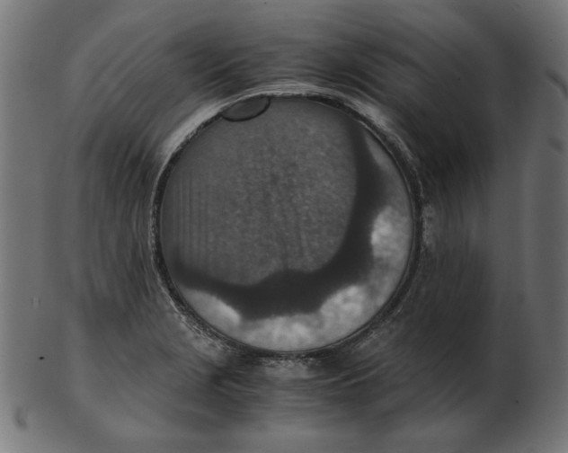 X0000103131229200809121724