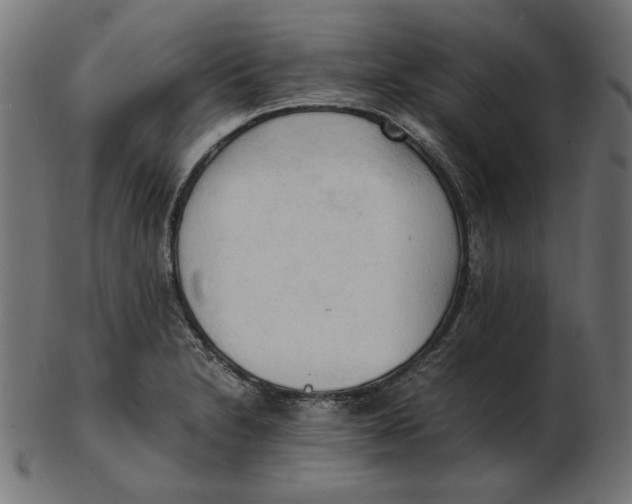 X0000103131230200809121724