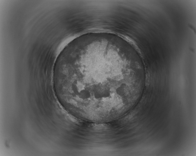 X0000103131231200809121724