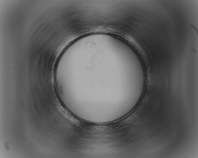 X0000103131232200809121724