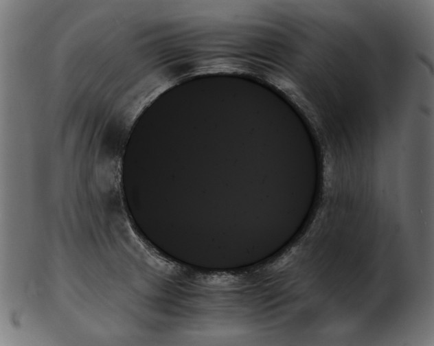 X0000103131233200809121724