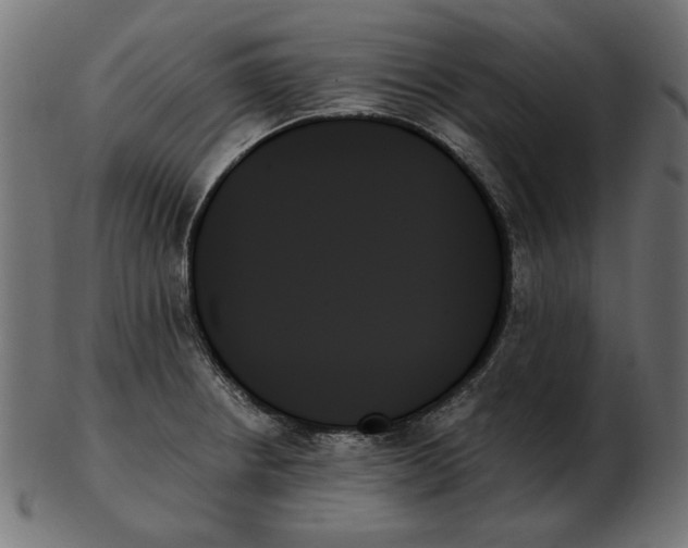 X0000103131234200809121724