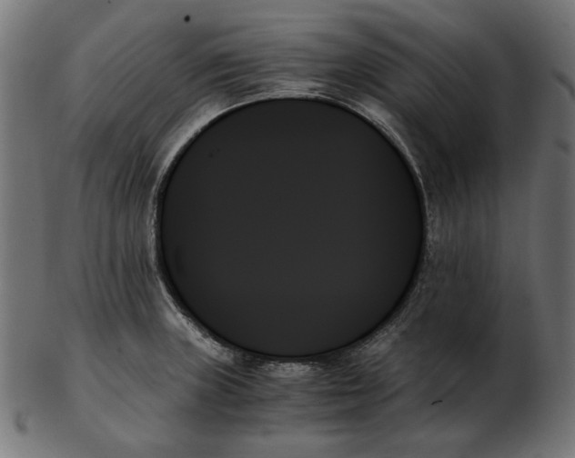 X0000103131235200809121724