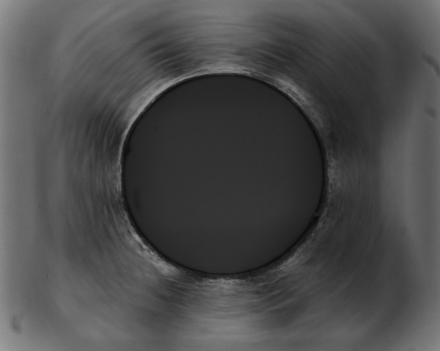 X0000103131236200809121724