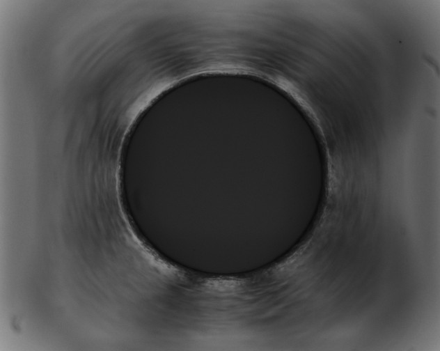 X0000103131237200809121724