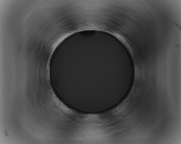 X0000103131238200809121724