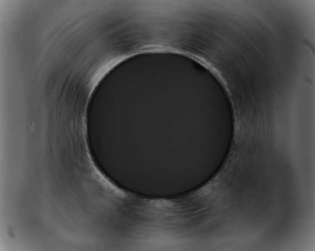 X0000103131239200809121724