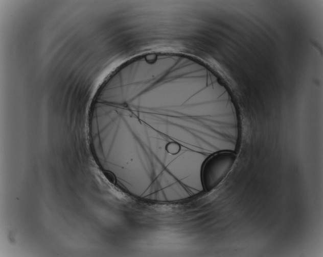 X0000103131240200809121724