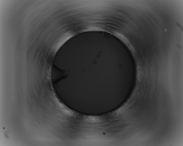 X0000103131241200809121724