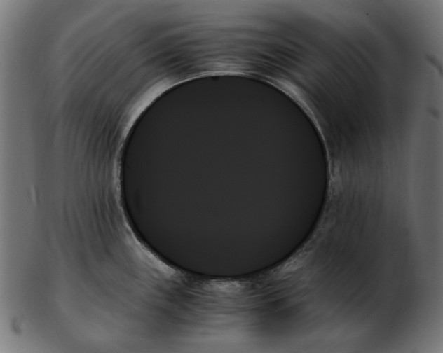 X0000103131243200809121724