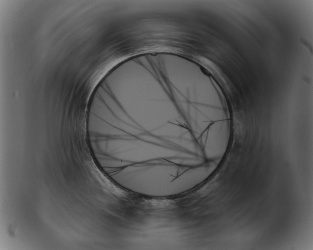 X0000103131244200809121724