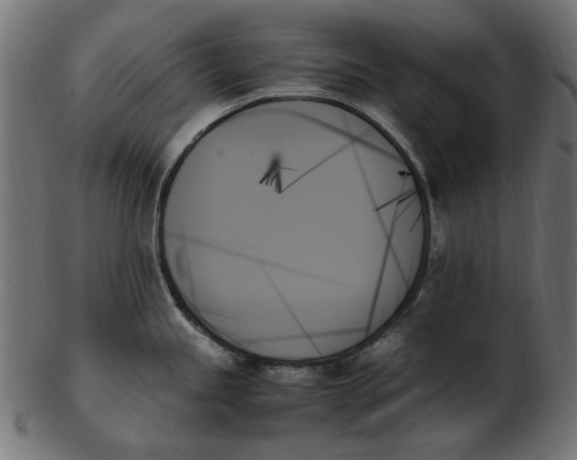 X0000103131245200809121724