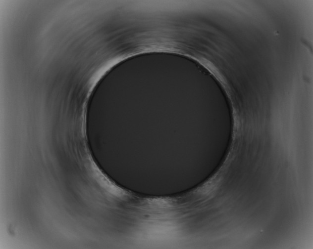 X0000103131246200809121724