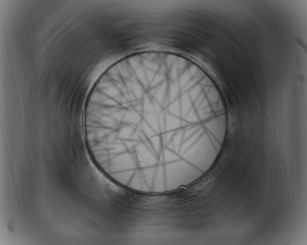 X0000103131247200809121725