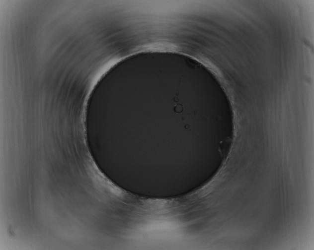 X0000103131248200809121725
