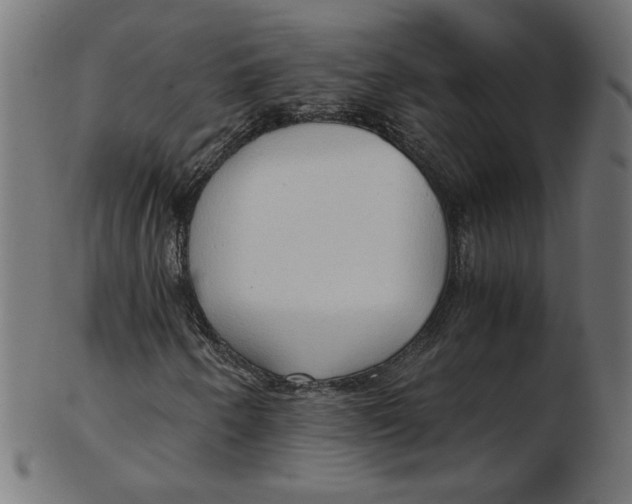 X0000103131250200809121724