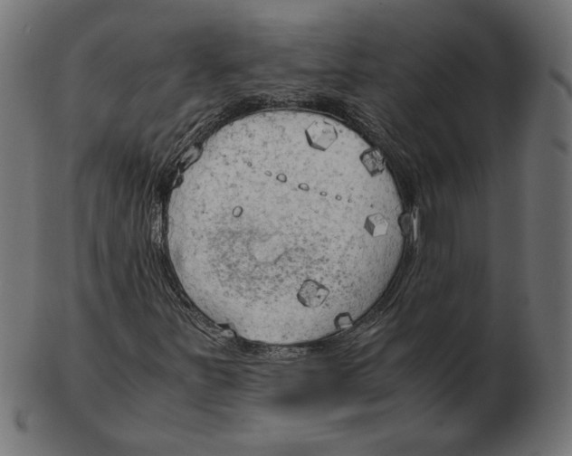 X0000103131251200809121724