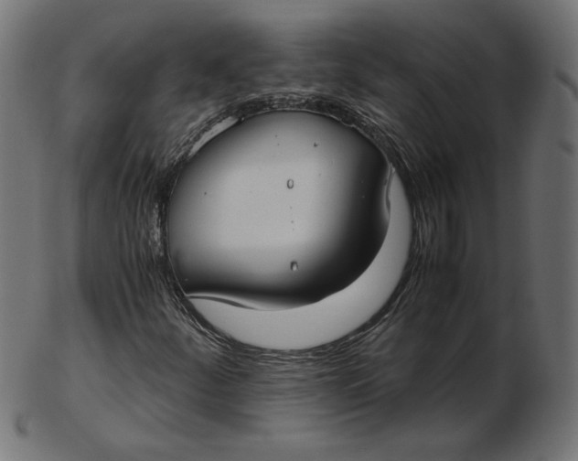 X0000103131252200809121724